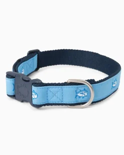 Skipjack Dog Collar<Southern Tide Best Sale