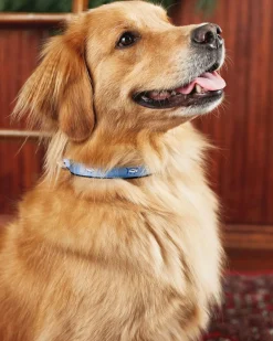Skipjack Dog Collar<Southern Tide Best Sale